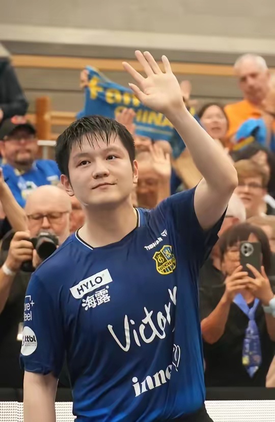 的暴力行为 的暴力行为