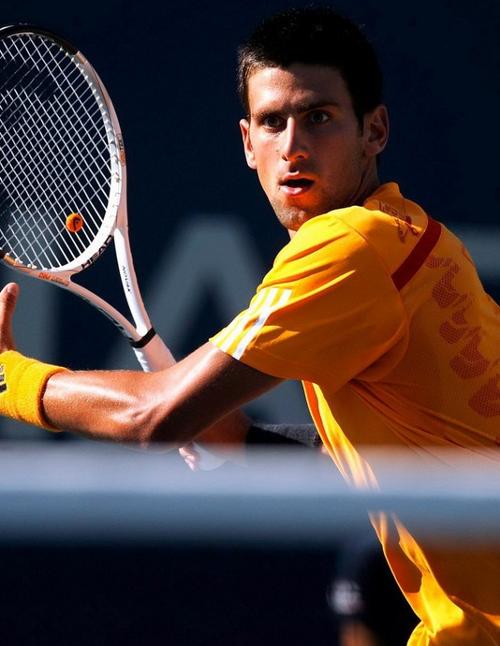 这一体系不 这一体系不